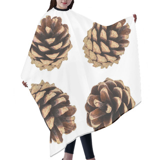 Personality  Pine Cones Isolated Hair Cutting Cape