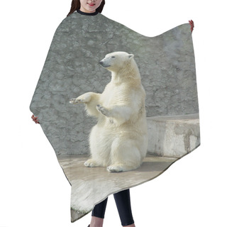 Personality  Polar Bear-beggar Hair Cutting Cape