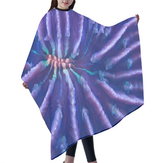Personality  Plate Coral Hair Cutting Cape