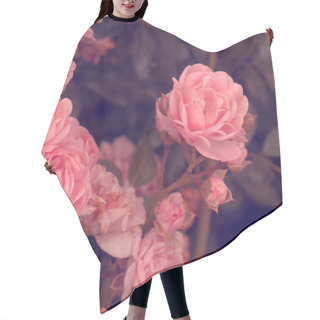 Personality  Pink Roses. Bloom Wedding Romantic Mood Hair Cutting Cape