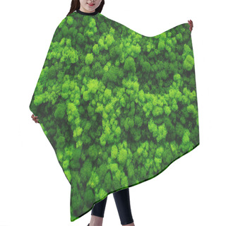 Personality  Moss Wall, Green Wall Decoration Made Of Natural Moss. Hair Cutting Cape