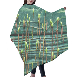 Personality  Top View Of Wooden Green Background With Blossoming Branches, Panoramic Shot  Hair Cutting Cape