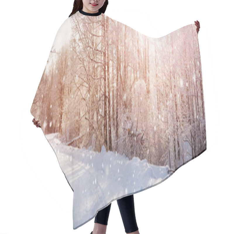 Personality  trees covered with snow in the forest hair cutting cape
