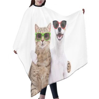 Personality  Portrait Of A Dog Jack Russell Terrier And Cat Scottish Straight In Sunglasses Hugging Each Other Isolated On White Background Hair Cutting Cape