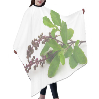 Personality  Medicinal Tulsi Leaves Over White Background Hair Cutting Cape