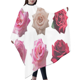 Personality  Three Color Rose Flowers On White Background, Nature, Object, Vintage Hair Cutting Cape