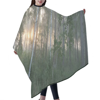 Personality  Birch Tree Forest In A Fog At Sunrise. Idyllic Summer Rural Scene. Nature, Environmental Conservation, Ecology, Ecotourism. Wildfire Colors. Soft Sunlight, Golden Hour. Panoramic View Hair Cutting Cape