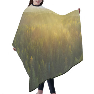 Personality  Birds Eye View Of Thick Forest During Autumn Sunrise With Fog. Hair Cutting Cape
