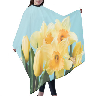 Personality  Close Up View Of Beautiful Tulips And Daffodil Flowers Isolated On Blue Hair Cutting Cape