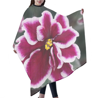Personality  Violet Flower Hair Cutting Cape