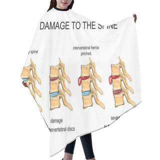 Personality  DAMAGE TO THE SPINE Hair Cutting Cape
