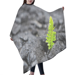 Personality  Nature Hair Cutting Cape