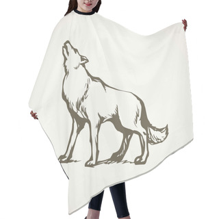 Personality  Wolf. Vector Drawing Hair Cutting Cape