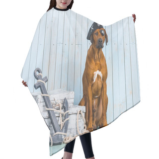 Personality  Rhodesian Ridgeback Pirate-dog With Its Treasures Hair Cutting Cape
