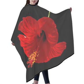 Personality  Red Flower Of Hibiscus Hair Cutting Cape