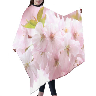 Personality  Japanese Cherry Tree Blossom Hair Cutting Cape
