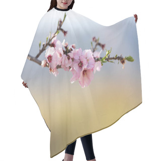 Personality  Almond Blossom In Spring. Beautiful Pink Flowers Hair Cutting Cape