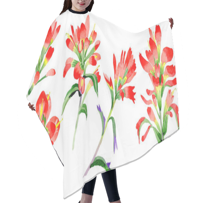 Personality  Wildflower Indian Paintbrush Flower In A Watercolor Style Isolated. Hair Cutting Cape
