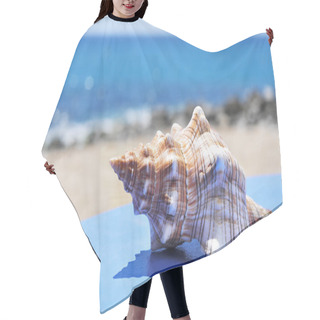 Personality  Conch On A Blue Surface On The Beach Hair Cutting Cape