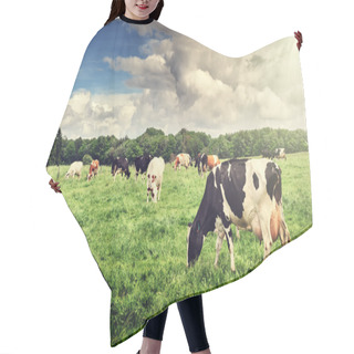 Personality  Herd Of Cows Grazing At Green Field Hair Cutting Cape