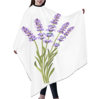 Personality  Vector Lavender Background Hair Cutting Cape
