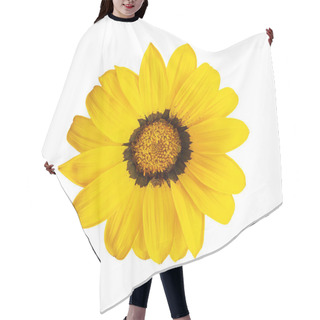Personality  Top View Macro Bright Yellow Gazania - South African Chamomile, Daisy, Sunflower Blooming With Flower Stamens On Sunny Day On White Isolated Background Hair Cutting Cape
