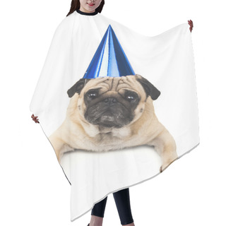 Personality  Pug Dog In Blue Birthday Cap Hair Cutting Cape