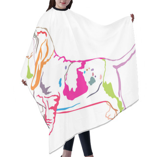 Personality  Colorful Decorative Standing Portrait Of Basset Hound Vector Ill Hair Cutting Cape