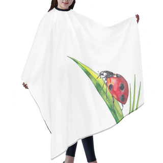 Personality  Sticker Design Of Summer Lawn Plants With Insect. Illustration Of Green Grass With Ladybug On Big Leaf. Watercolor Hand Painted Isolated Elements On White Background. Hair Cutting Cape