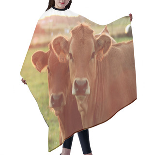 Personality  Cows On The Meadow Hair Cutting Cape