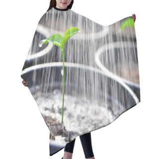 Personality  Young Plant Hair Cutting Cape