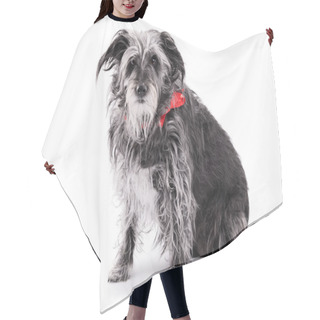 Personality  Cute Dog With Red Ribbon Isolated On White Background Hair Cutting Cape