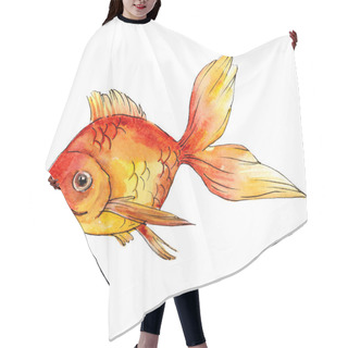 Personality  Watercolor Aquatic Colorful Goldfish Isolated On White Illustration Element. Hair Cutting Cape