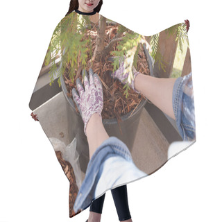 Personality  Woman Gardener Mulching Potter Thuja Tree With Pine Tree Bark Mulch. Urban Gardening Hair Cutting Cape