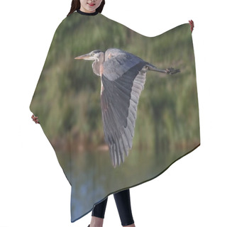 Personality  Great Blue Heron Flying Over The Water Hair Cutting Cape