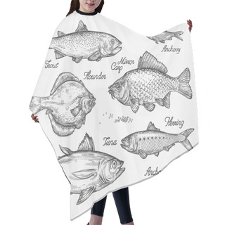 Personality  Hand Drawn Fish. Sketch Trout, Carp, Tuna, Herring, Flounder, Anchovy. Vector Illustration Hair Cutting Cape