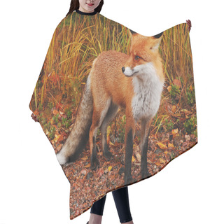 Personality  Wild Red Fox Hair Cutting Cape