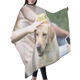 Personality  Cropped View Of Teenager Holding Sticker With Dog Lettering Near Retriever In Park  Hair Cutting Cape