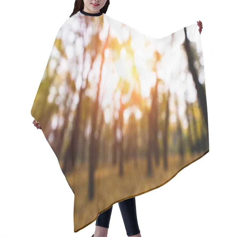 Personality  Autumn Forest Hair Cutting Cape