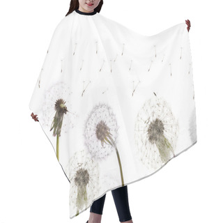 Personality  White Dandelions Field Hair Cutting Cape