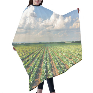 Personality  Cabbage Field Hair Cutting Cape