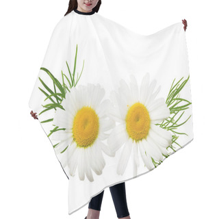 Personality  Chamomile With Green Leaves Isolated On A White Background. Daisy Flower. Hair Cutting Cape