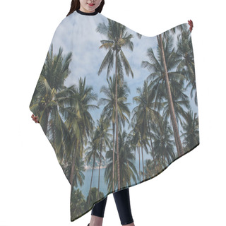 Personality  Palm Trees Hair Cutting Cape