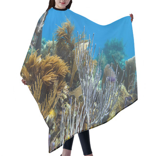 Personality  Tropical Coral Reef Hair Cutting Cape