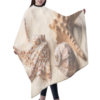 Personality  Sea Starfish And Shells On Light Sand Hair Cutting Cape