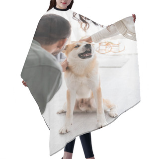 Personality  Back View Of Man And Cropped Woman Petting Akita Inu Dog Hair Cutting Cape