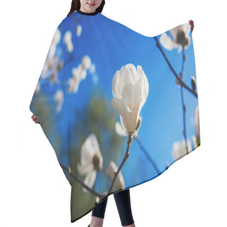 Personality  White Blooming Magnolias  Hair Cutting Cape