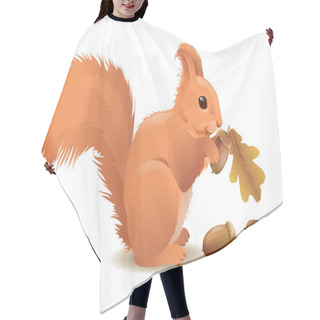 Personality  Squirrel With Acorns Hair Cutting Cape