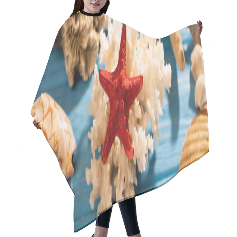 Personality  seashells, starfish and coral on wooden blue background, panoramic shot hair cutting cape