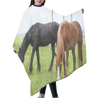 Personality  Group Of Two Horses Standing On The Pasture Hair Cutting Cape